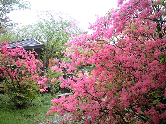 10_05_25_03.jpg