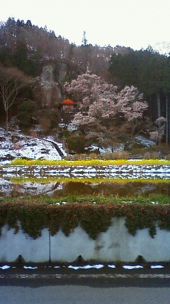 201004171754000.jpg