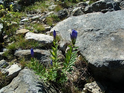 20110907%E2%91%A1.jpg