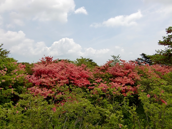 2011_06_03_01.jpg