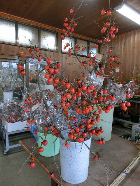 20151125-g-7.jpg