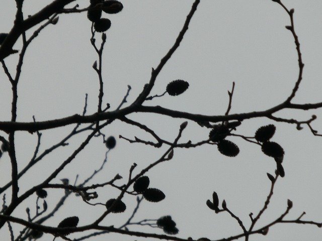 20151125-g-9.jpg