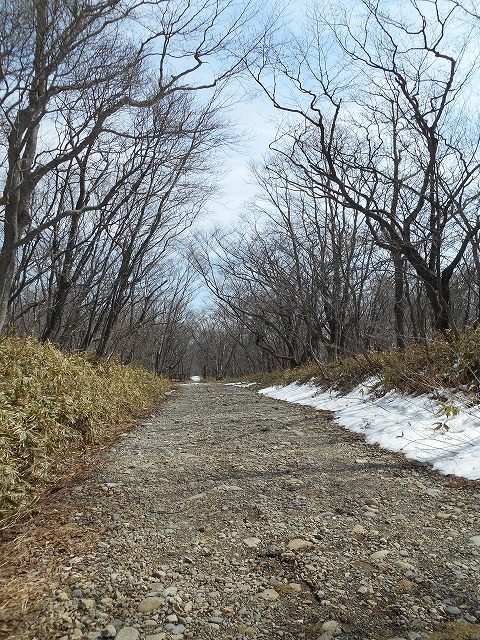 20160320-y-11.jpg