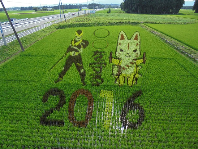 20160711%E2%91%A2.jpg