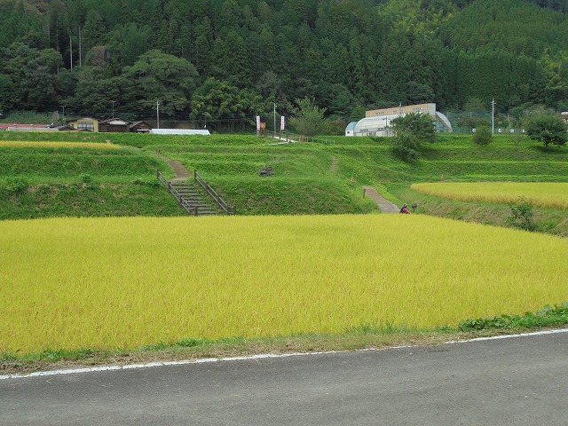 2016091628.jpg