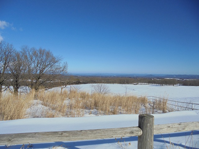 共同利用模範牧場 (さわやか那須だより ～スタッフブログ～)