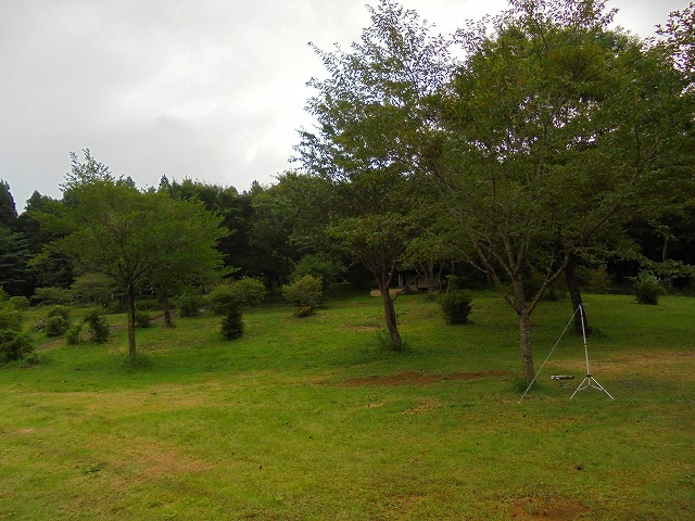 2017082122.jpg