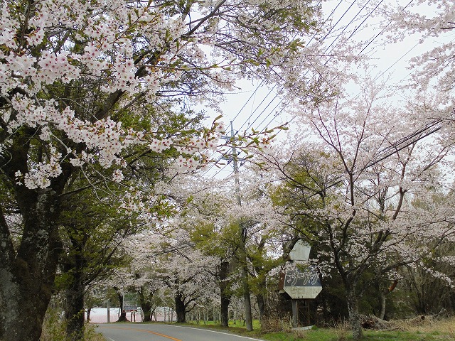 2019042122.jpg