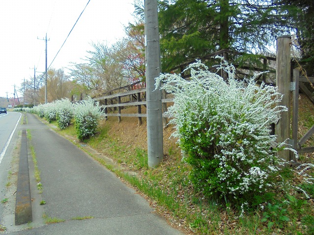 2019042142.jpg