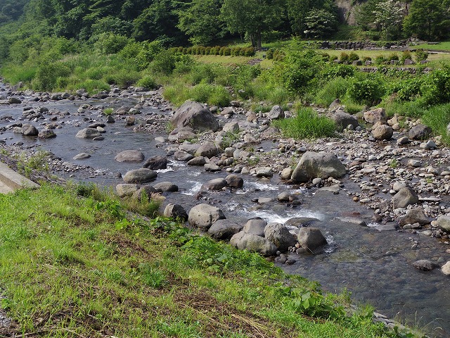 A2810.jpg