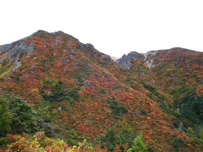 朝日岳周辺の紅葉