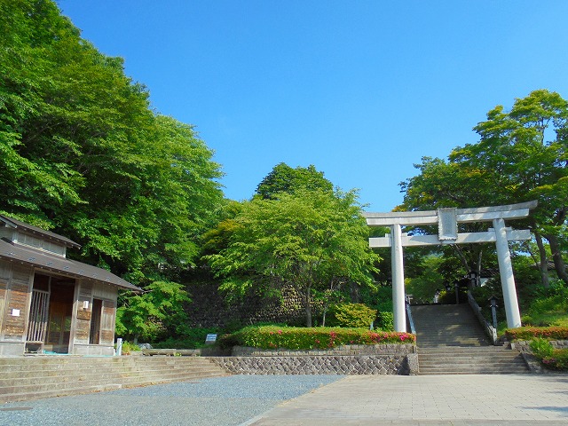 DSC01340.jpg