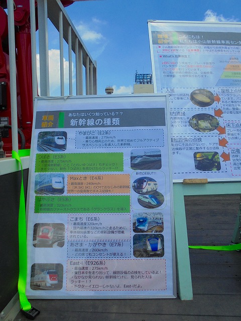 DSC01387.jpg