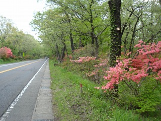 那須街道