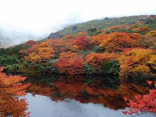 池