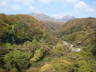 DSC01850.jpg