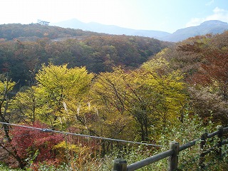 DSC01868.jpg