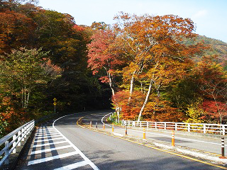 DSC01879.jpg
