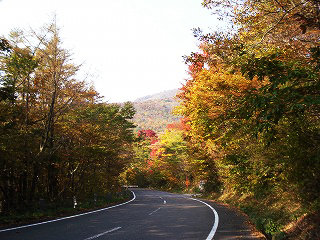 DSC01880.jpg