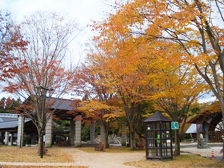 広谷地周辺（道の駅那須高原友愛の森周辺）
