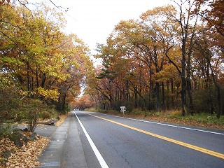 那須街道(一軒茶屋から広谷地間)