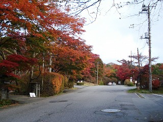 新那須周辺(静観の道)