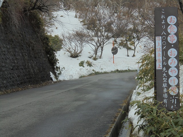 DSC03562.jpg