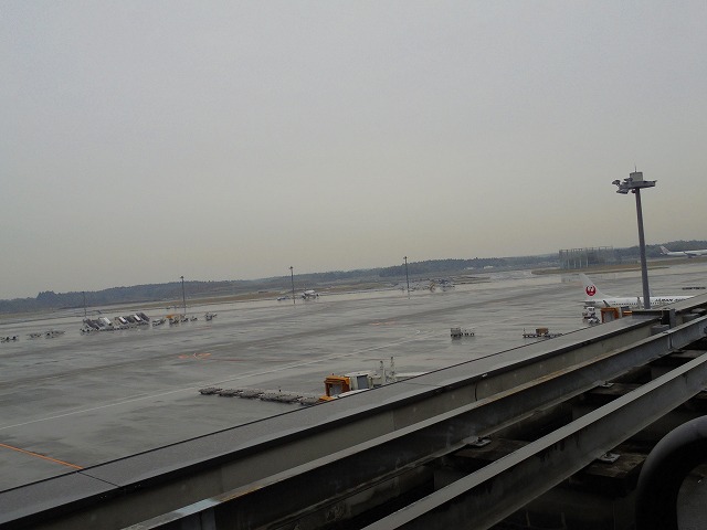 DSC07748.jpg