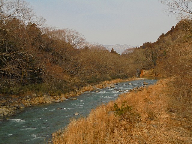 DSC09523.jpg