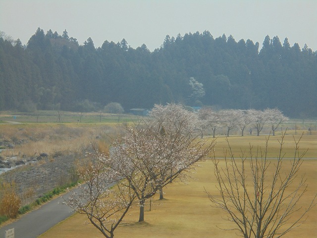 DSC09746.jpg