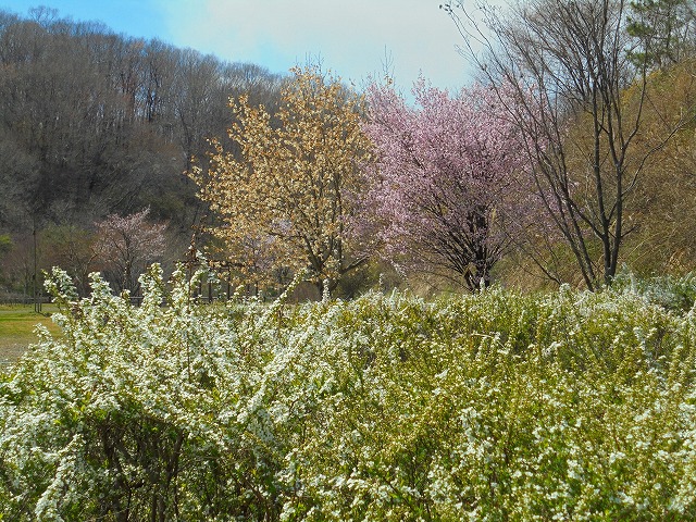 DSC09904.jpg