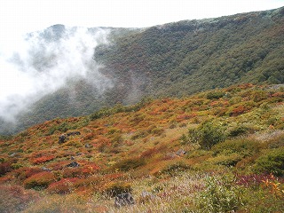 茶臼岳周辺の紅葉