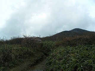DSCF0326.jpg