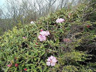 DSCF0331.jpg