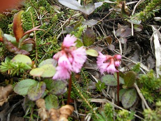 DSCF0336.jpg