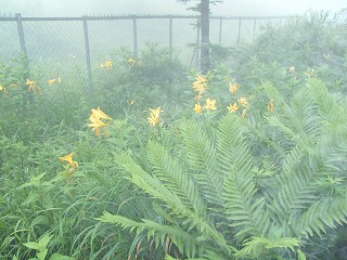 DSCF6013.jpg