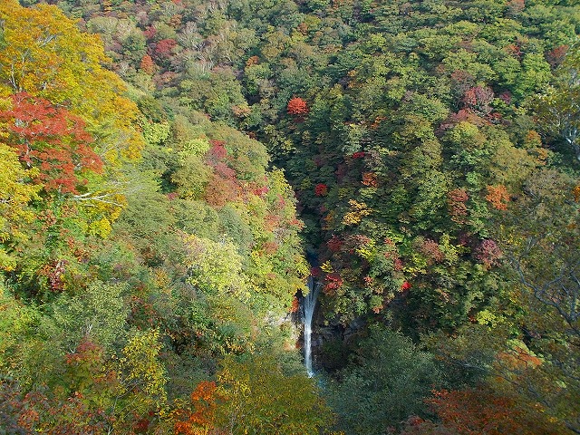 DSCN1912.jpg