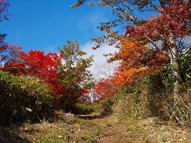 DSCN1921.jpg