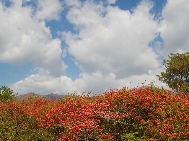 DSCN2544.jpg