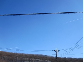 IMG_0147.jpg