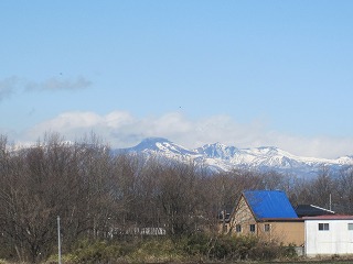 IMG_0202.jpg