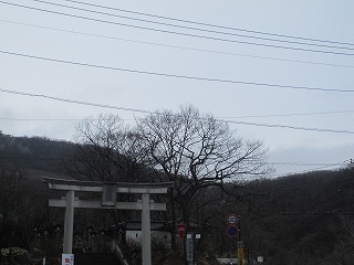 IMG_0205.jpg