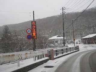 IMG_0235.jpg
