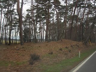 IMG_0320.jpg