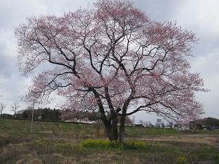 IMG_0348.jpg