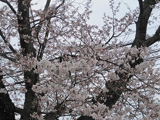 IMG_0372.jpg