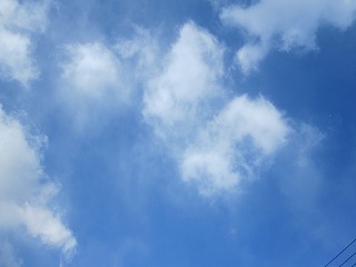 IMG_0377.jpg