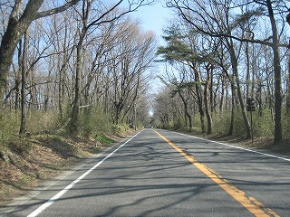 IMG_0379.jpg