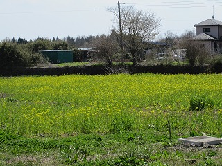 IMG_0380.jpg