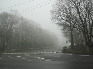 IMG_0396.jpg
